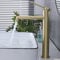 SHANFO Robinet Lavabo Haut,Mitigeur Lavabo Doré Brossé,Monocommande Mitigeur,Réglable Chaud et Froid,Or Brossé,M4OK-T