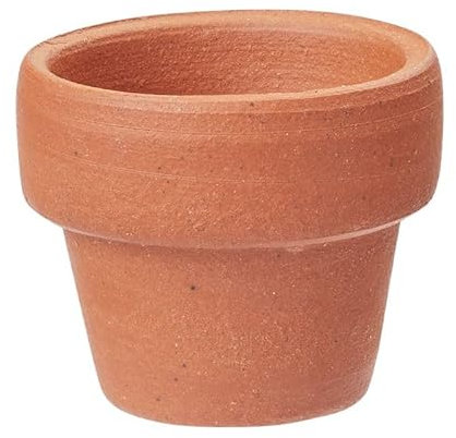 Miniaturen für Puppenhäuser und Wichtelstuben oder Geschenkgutscheine · DIY Miniwelt · Mini-Blumentopf 1,5 cm 2 Stück