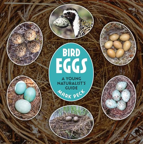 Bird Eggs: A Young Naturalist's Guide