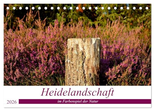 Heidelandschaft im Farbenspiel der Natur (Tischkalender 2026 DIN A5 quer), CALVENDO Monatskalender: Entdecken Sie die wunderschöne Heidelandschaft - ... stimmungsvoll fotografiert. (CALVENDO Natur)