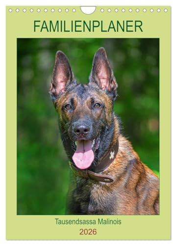 Familienplaner Tausendsassa Malinois (Wandkalender 2026 DIN A4 hoch), CALVENDO Monatskalender: Der Malinois, ein Allrounder, als Dienst- und Sporthund ... Fotos vorgestellt (CALVENDO Tiere)