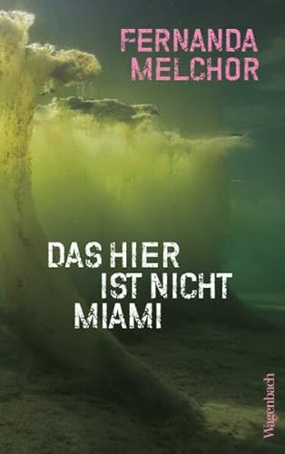 Das hier ist nicht Miami: Crónicas | Von der bedeutendsten mexikanischen Autorin der Gegenwart (Quartbuch)