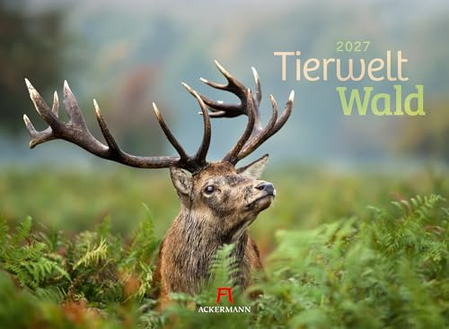 Tierwelt Wald Kalender 2027 | Bildstarker Tier-Kalender im Querformat (45x33 cm) | Heimische Wildtiere in ihrem Lebensraum