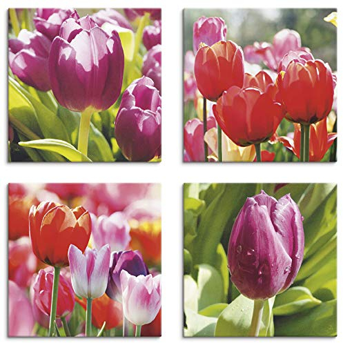 ARTLAND Wanddeko Blumenbilder Leinwand Bilder Set 4tlg. je 30x30 cm Quadratisch Wandbilder Natur Blumen Tulpe Frühling Tulpen S6ML