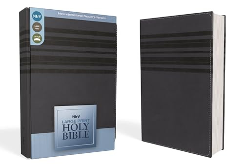 NIrV, Holy Bible, Large Print, Leathersoft, Blue