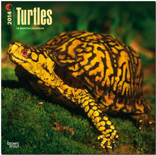 Turtles 2014 - Schildkröten: Original BrownTrout-Kalender [Mehrsprachig] [Kalender] (Wall-Kalender)