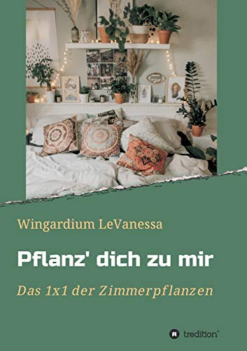Pflanz' dich zu mir: Das 1x1 der Zimmerpflanzen