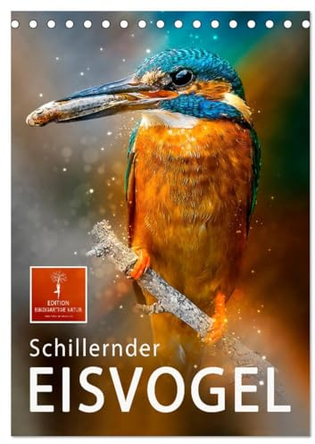Schillernder Eisvogel (Tischkalender 2025 DIN A5 hoch), CALVENDO Monatskalender