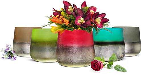 Sendez Blumenvase Barbara Tischvase Glasvase Dekovase Vase Blumentopf Pflanztopf (Rot)