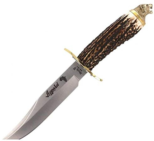 Muela Cuchillo de Caza Big Five Leopard LEOPARD-16BF con Hoja de Acero INOX MoVa de 16 cm y asta de Ciervo de 13 cm pomo Decorado para Caza, Supervivencia y Bushcraft + Portabotellas de Regalo