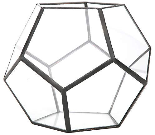 Cyrank Terrario di Piante Geometriche in Vetro, Vaso da Fiori Geometrico in Vetro Chiuso con Fioriera da Tavolo Moderna, Decorazioni per Fioriere Succulente