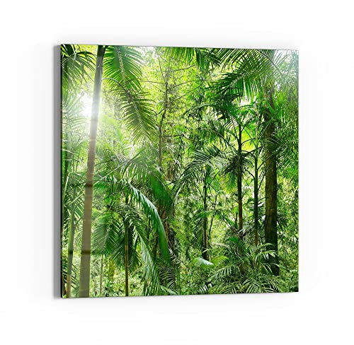 DEQORI Glasbild Acrylglas | Motiv Mitten im Dschungel | quadratisch einteilig 50x50 cm | schöne Dekoration | Wandbild für Wohnzimmer, Schlafzimmer, Flur & Küche | moderne Wanddeko