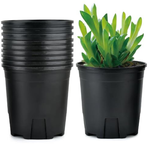 FOROREH 12.4cm Plastic Plant Pots,Pack of 10 Plant Nursery Pots,Reusable Plant Flower Pots for Indoor and Outdoor Home Gardening Decoration, Black