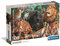 Clementoni Puzzle Collection - Wild Cats 500 Stücke, Compact Box - Puzzle für Erwachsene 14-99 Jahre, Geschenk für Mann und Frau, Made in Italy, 35584