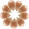 10 elegante Luftballons Pastell Schokoladenbraun Eco Ballons Pastel Braun Made in EU Deko Geburtstag Kinder Erwachsene Hochzeit Party Deko Ballons pastellbraun Helium geeignet