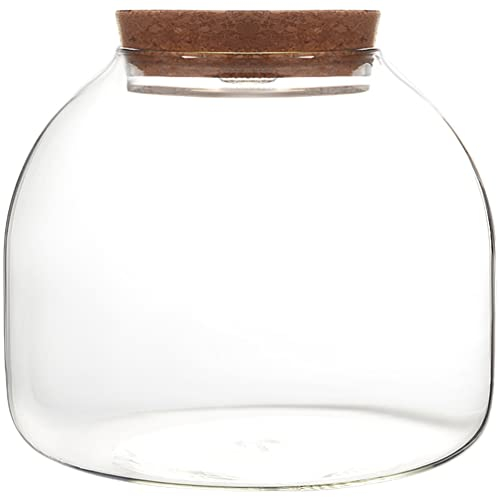 iplusmile Glas Pflanzen Terrarium Glasvase Hydrokultur Vase Pflanzer Klarglas Flasche mit Korkverschluss Sukkulenten Topf Blumenvase für Zuhause Garten Büro Wohnzimmer