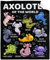 Axolotls of The World Decke, Geschenke für Frauen, Erwachsene, Pucktuch, Freund, superweich, warm, flauschig, gemütlich, leicht, Überwurf, Decken für Zuhause, Bett, Couch, Sofa, 101,6 x 127 cm, für