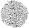 Lotsdonxia 1000pcs Imitation Pearls – 2-8mm Flat Back Artificial Gems Half Round ABS Pearl Beads for DIY Crafts, Jewellery Making, Nail Art, and Hair Accessories (Silver)