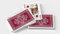 Murphy's Magic Supplies, Inc. Black Roses Edelrot Spielkarten (vollständig markiert), tolles Geschenk für Kartensammler