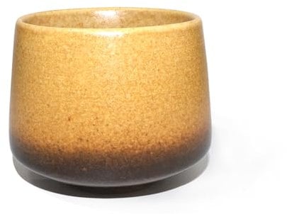 DRHYO 6oz Cappuccino Coffee Cups, Personalised Coffee Espresso Cup Without Handle, Ideal for Coffee Shops, Offices, Home, Interesting Gift for Women, Colleagues,Brown02