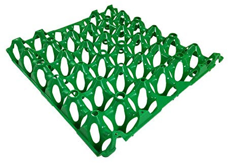 Tigerbox Eton Plastic Egg Tray Holds 30 Eggs - Green