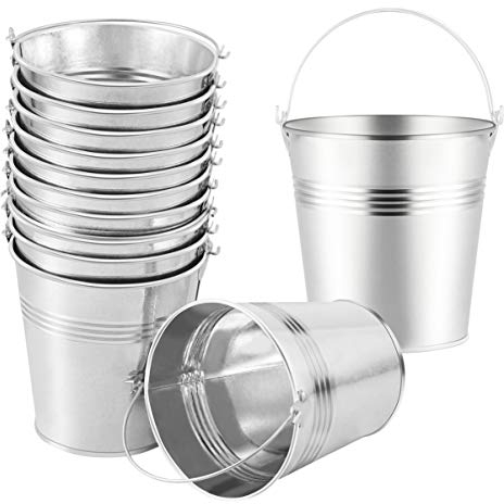TOYANDONA 12 Pièces Seau en Fer-Blanc - Glaçage Français, Frites, Seau à Glace, Récipient Galvanisé, Hanging Pots De Fleurs