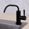 Grifo Cocina Osmosis 1/4” Acero Inoxidable Grifo Recto Orificio Simple Agua Fría Purificador de Agua Grifo-Negro