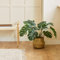 BLAINE | Monstera 60cm | Plantas Artificiales Decorativas | Planta Artificial Grande | Plantas Artificiales para Interior/Exterior | Planta Artificial Realista Decorativa para Casa | Sin Cuidados