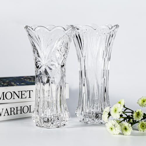 Vase Glas 2 Stück Glasvase,Handgemacht Kristall Vasen 19 cm Hohe Blumenvase Modern,Hydrokultur und Floral Arrangement Glasvase Zylinder Dekoglas Transparent Vasen Gross für Hause Mittelstücke