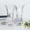 Vase Glas 2 Stück Glasvase,Handgemacht Kristall Vasen 19 cm Hohe Blumenvase Modern,Hydrokultur und Floral Arrangement Glasvase Zylinder Dekoglas Transparent Vasen Gross für Hause Mittelstücke