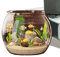 Avaric Beta, kleines Aquarium, Fisch-Aquarium, transparent, mit Zylinder, Guppy – Dekotafel, Behälter, Wassertiere, Zierfisch, für zu Hause