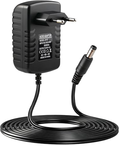 Alimentatore di rete 24 V DC 1 A 24 W adattatore AC 100 – 240 V a 24 Volt 1000 mA alimentatore di rete 24 V LED DC con spina da 5,5 x 2,5 mm spina EU adattatore da parete per strisce LED CCTV