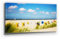 Atemberaubendes Nordsee Panorama Leinwand-Bild 120x60cm, Motiv Juist Strand-Körbe. Ein einzigartiges XXL Wandbild als Deko für Wohnzimmer, Schlafzimmer, Küche. Aufgespannt auf Holzrahmen