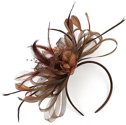 SJTJSPX Damen Hut Fascinator Zubehör Haar Mesh Netz Hut Hochzeit Elegant Schleier Stirnband Clip Haarreif Braut Kirchenhüte Tea Party Cocktail Royal Ascot, Braun