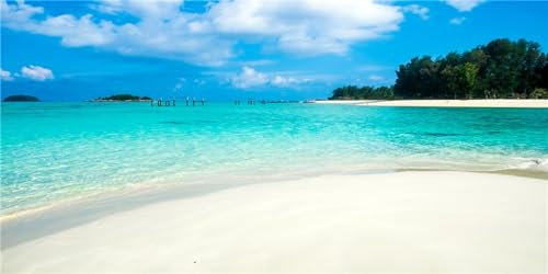 MIRRORANG 120x50cm Tropisches Aquarium Hintergrund Blauer Himmel Meer Wasser Fisch Tank Hintergrund