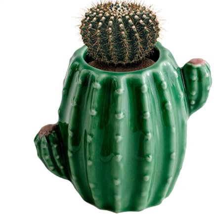 Adorabile decorazione di cactus, vaso di cactus in ceramica, vaso decorativo vaso di fiori in ceramica, vaso per piante di cactus, piccoli vasi decorazione da scrivania, composizioni floreali vaso da