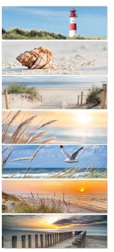 Timr Tischkalender Ersatzmagnete 7 Stück magnetisch, Strand Dünen - tr392 | Magnetisch, Erweiterung für Edelstahl Kalender, Geschenkidee für Kollegen, Mitarbeiter im Büro, Motiv Meer
