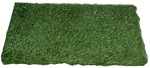 YOUJIAA Waschbar Kunstrasen Austauschbar Hunde Training Rasenmatte Welpentoilette Rasen für Hundetoilette & Hundetöpfchen (Grün, 81.5 * 63.5cm)