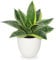 Hollyone Planta artificial de serpiente de interior, planta artificial Sansevieria pequeña, falsa planta decorativa para mesa, hogar, oficina, decoración, verde claro