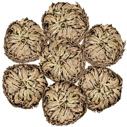 Rosa de Jerico - Confezione da 7 piante secche di rosa de Jerico originale, felce essiccata a forma di foglia, piante da preghiera per purificazione spirituale, decorazione per la casa