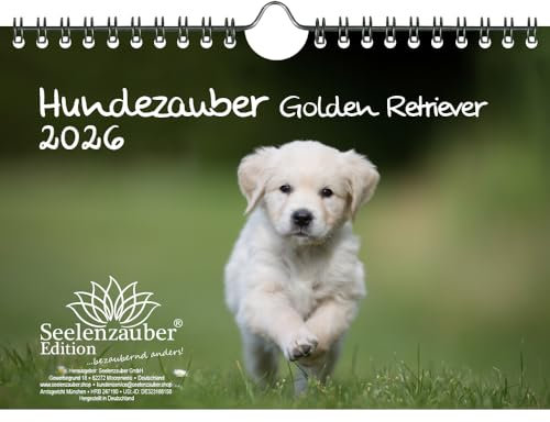 Hundezauber Golden Retriever DIN A5 Kalender für 2026 Welpen und Hunde - Inhalt: 1x Kalender 1x Weihnachtsanhänger 1x Grußanhänger (gesamt 3 Teile)