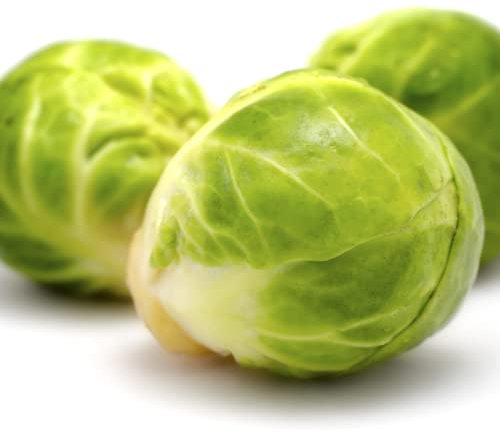 Brussels Sprouts Plants, 'Brigitte', 12 x Full Plant Pack, Winter Vegetable Plants, Winter Brussels Sprouts, Garden Veg, Garden Ready and Ready to Plant, Premium Quality Vegetables