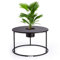 Blumfeldt Beistelltisch Schwarz mit Blumentopf, Kleiner Metall-Beistelltisch Rund, Mini Beistelltisch fürs Wohnzimmer, Moderner Sofatisch, Beistelltisch Klein, Couch-Tisch mit Abnehmbarem Pflanzentopf