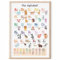 MeinBaby123® XL ABC Lernposter Grundschrift für Kinder (GS) englische Version | Buchstaben Laute von A - Z | Alphabet ABC | für Kindergarten, Vorschule, Grundschule (A2 Lernposter Tiere - englisch)