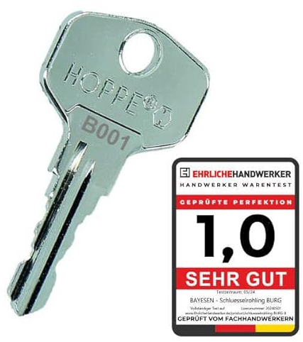 bayesen Ersatzschlüssel Nachschlüssel - Präzise Gefräst & Kompatibel mit BURG-WÄCHTER - Passgenau für Briefkasten, Hebelzylinder, Möbel [Code B079]