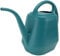 BESPORTBLE Grand Arrosoir en Plastique 4 L pour Jardinage Poignée Robuste Et Confortable