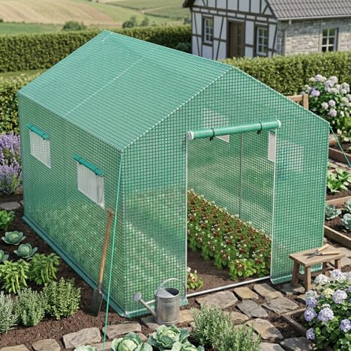 Froadp Serre de jardin accessible 3 x 2 x 2 m, avec cadre en acier galvanisé, film PE résistant aux UV, serre à tomates avec fenêtres et porte, serre pour légumes, tomates et fleurs