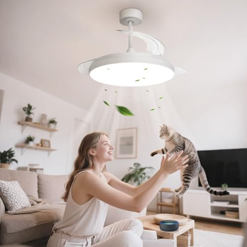 Aigostar-Ventilatore Soffitto Alexa con Luce e Pale Retrattili, Controllo Vocale, φ106cm, 50W, 5300LM, 2700K a 6500K Dimmerabile, Plafoniera Ventilatore Soffitto con Telecomando e Gateway, 6 Velocità