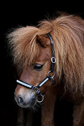 Kelly Lederhalfter Halfter Leder Minishetty Mini Shetty Minipony Fallabella Schwarz Braun Türkis Hellblau Perlen Glitzer Tysons (Minishetty, Braun)