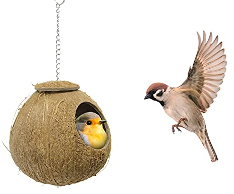 XXXXW Kreatives Design Kokosnüsse Bird Feeder Natürliche Hang Nests Yard Garten Dekor Muschel-Vogelnester für Vögel Hütte Käfig Birdhäuser für Außerhalb von Futtern Vogelfutterspender